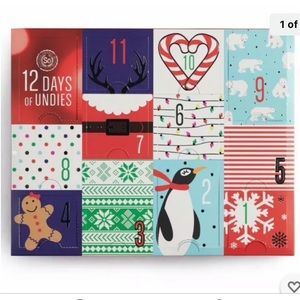 12 Days of Undies Christmas Box Panties Advent